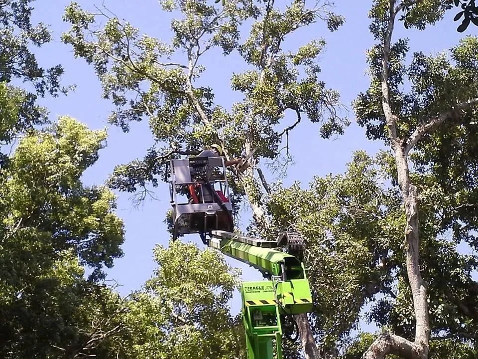 Affordable landscape installation for outdoor upgrades across Hudson, FL - McGuire For Hire Tree Care