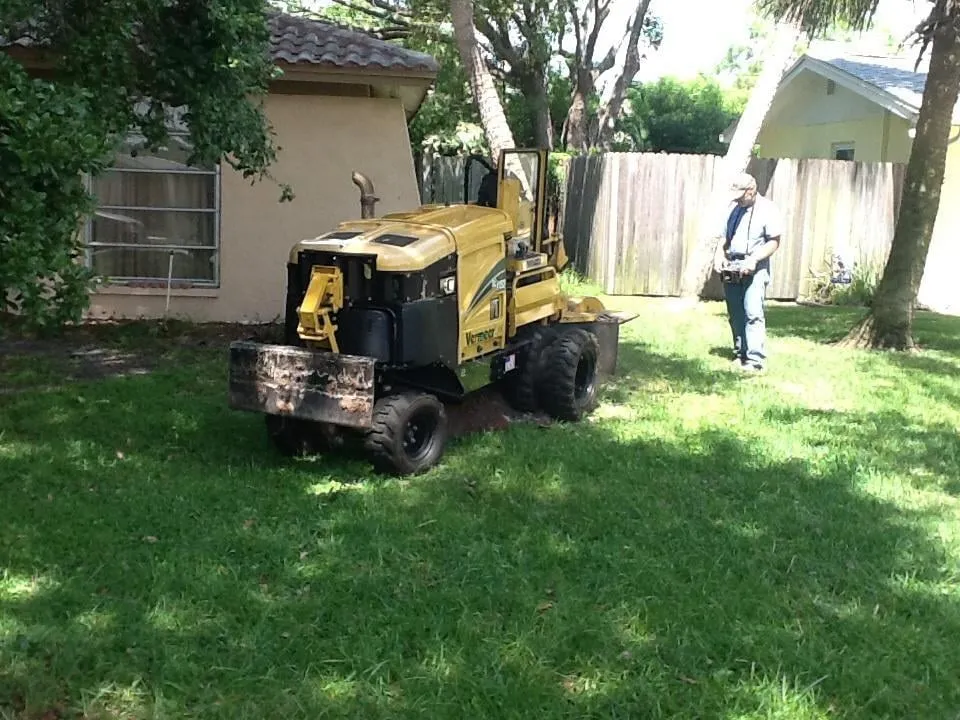 Custom lawn mowing service with custom design in Hudson, FL by McGuire For Hire Tree Care