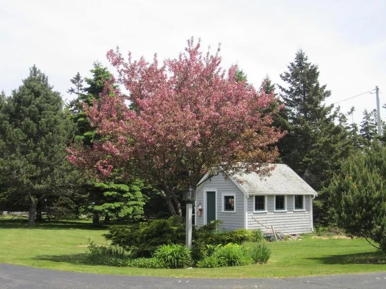 Top-rated lawn care service near you in Machias, ME by McGuire Seasonal Services