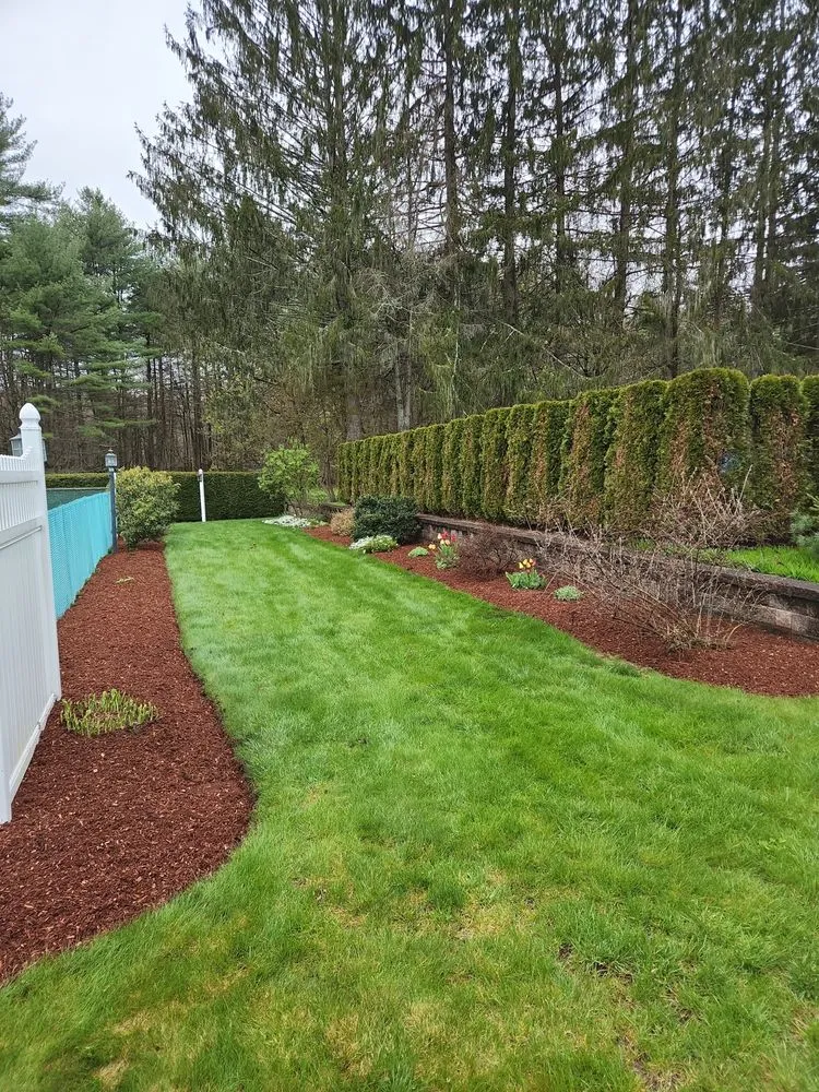 Local yard cleanup service for year-round maintenance across Ware, MA - McGuire Yard Service