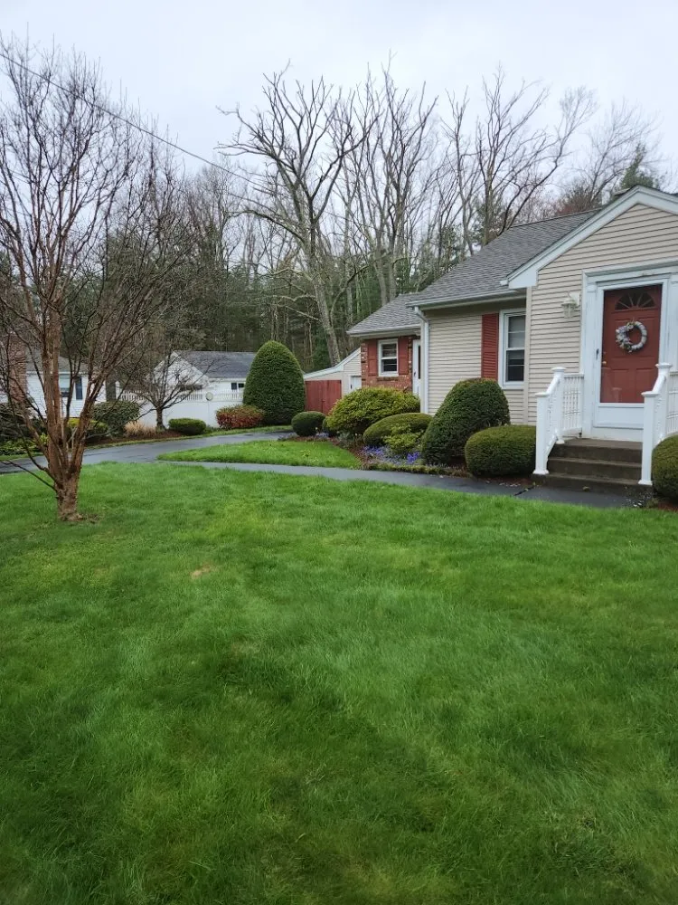 Affordable yard cleanup service experts serving Ware, MA - McGuire Yard Service