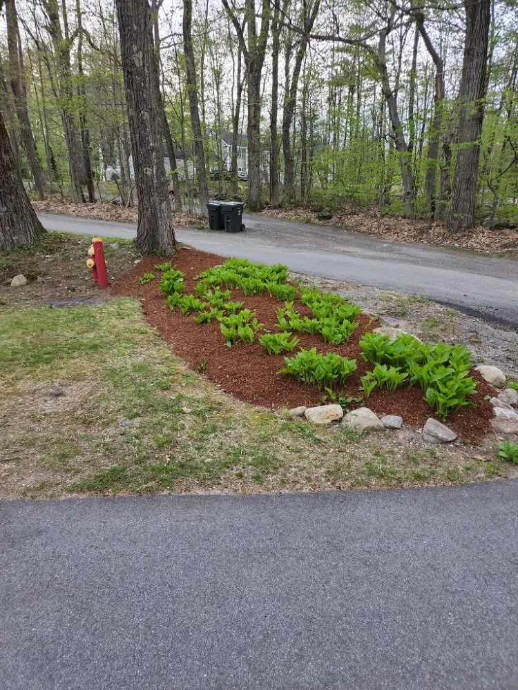 Professional yard maintenance in Ware, MA - McGuire Yard Service