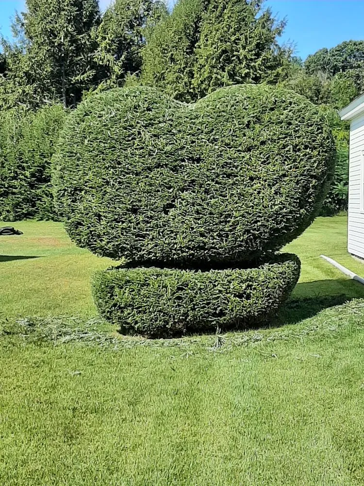 Trusted garden landscaping for year-round maintenance in Ware, MA by McGuire Yard Service