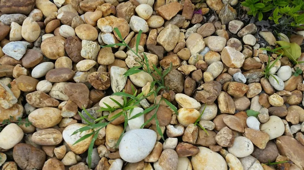 Affordable garden landscaping for outdoor upgrades across Land O Lakes, FL - McGuire's Beautiful Outdoors