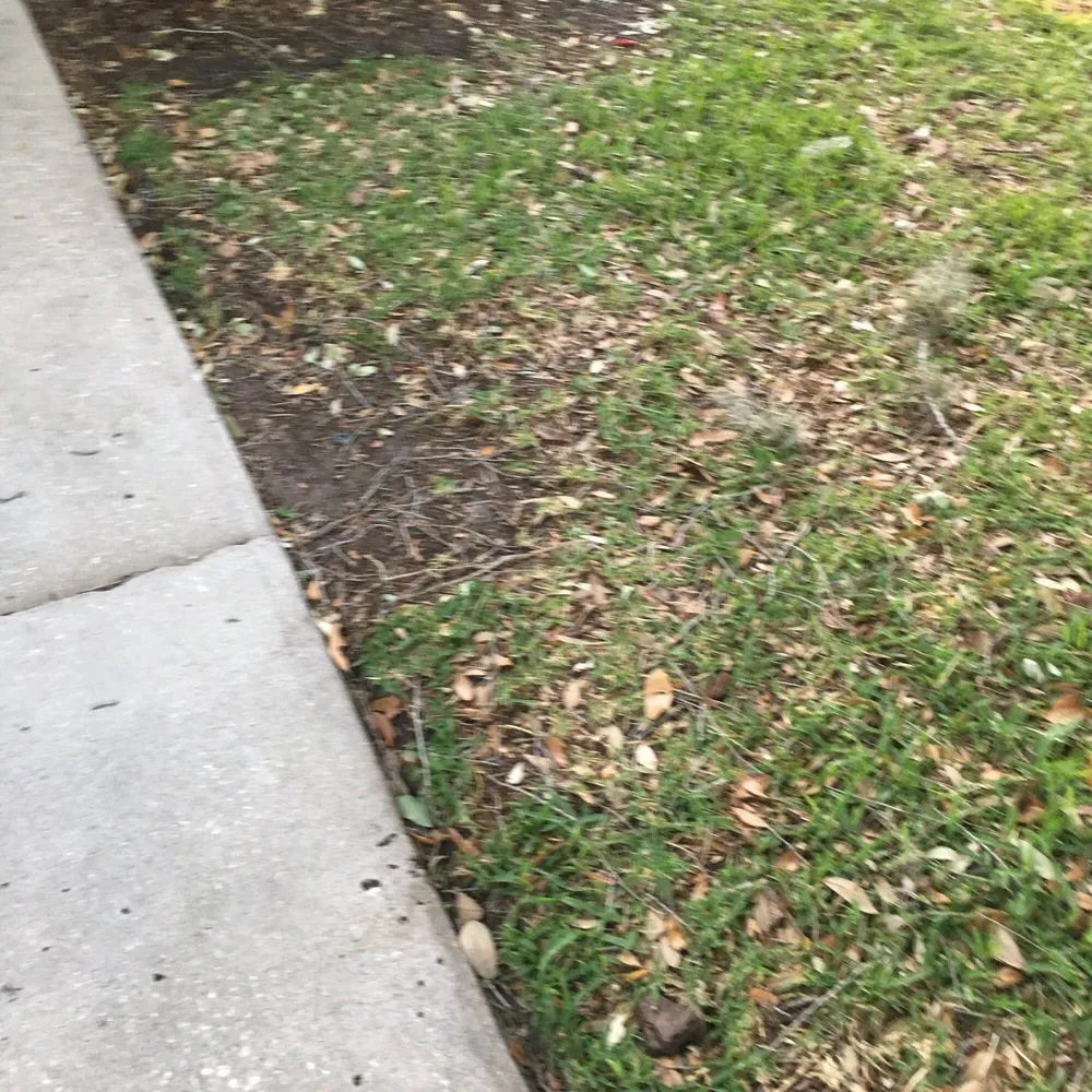 Trusted landscape design for homes across Land O Lakes, FL - McGuire's Beautiful Outdoors