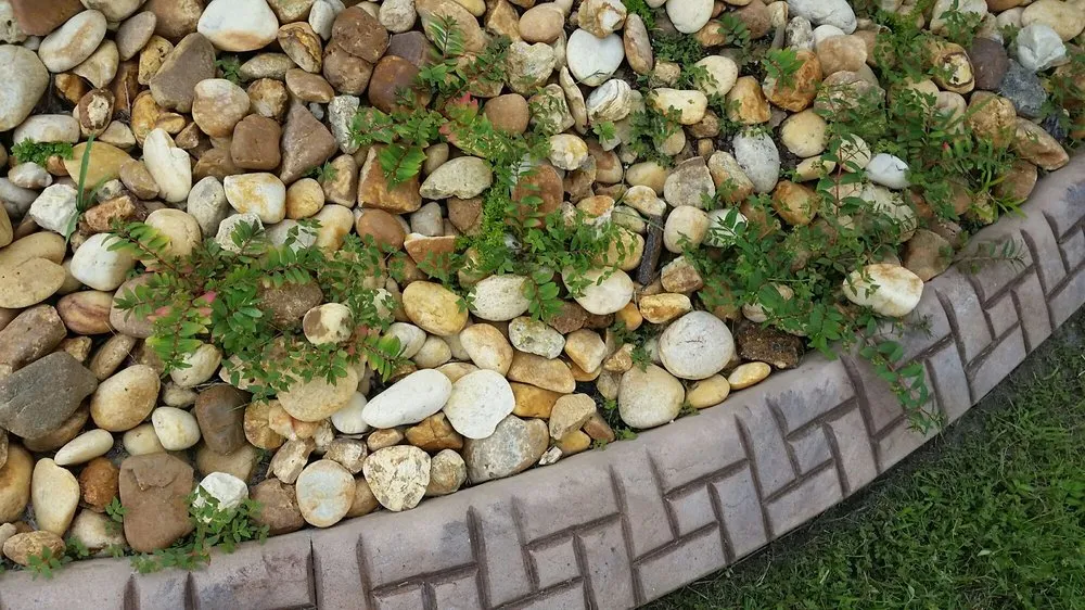 Affordable yard maintenance near you in Land O Lakes, FL by McGuire's Beautiful Outdoors