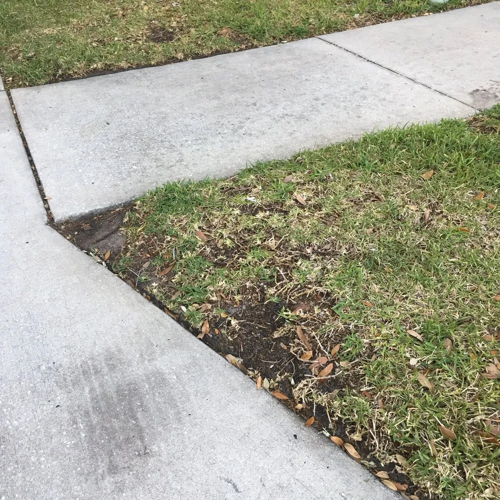 Affordable residential landscaping experts serving Land O Lakes, FL - McGuire's Beautiful Outdoors