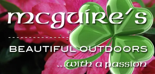 Top-rated lawn care service in Land O Lakes, FL - McGuire's Beautiful Outdoors