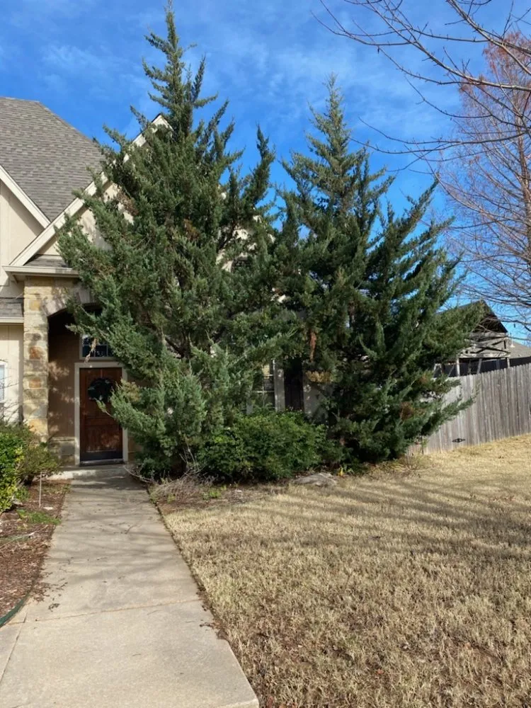 Expert landscape design experts serving Broken Arrow, OK - McGuire's Lawn & Landscape