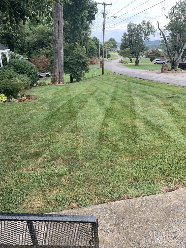 Trusted landscaping services experts serving Duffield, VA - McGuire’s Lawn & Landscaping
