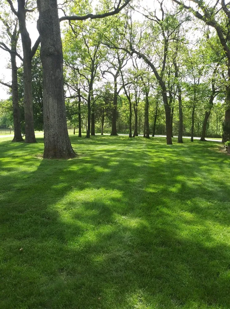 Top-rated landscape design near you in Monett, MO by McGuire's Lawn Maintenance