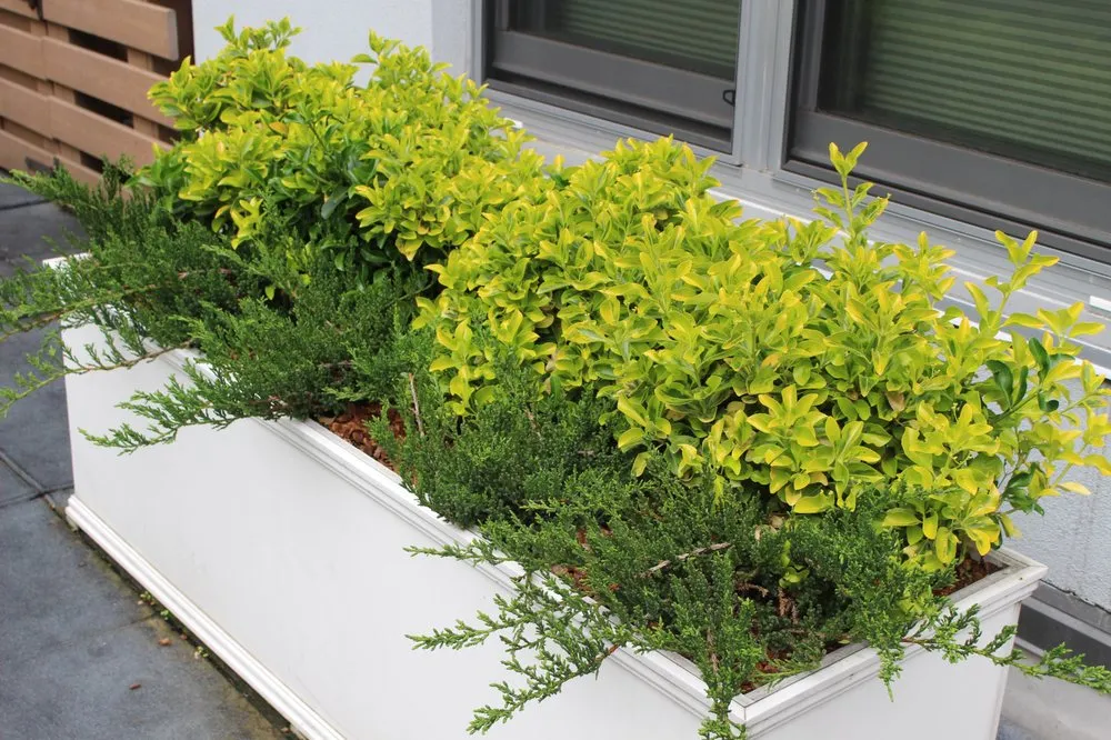 Affordable garden landscaping for year-round maintenance across New York, NY - MCH Floral Studio