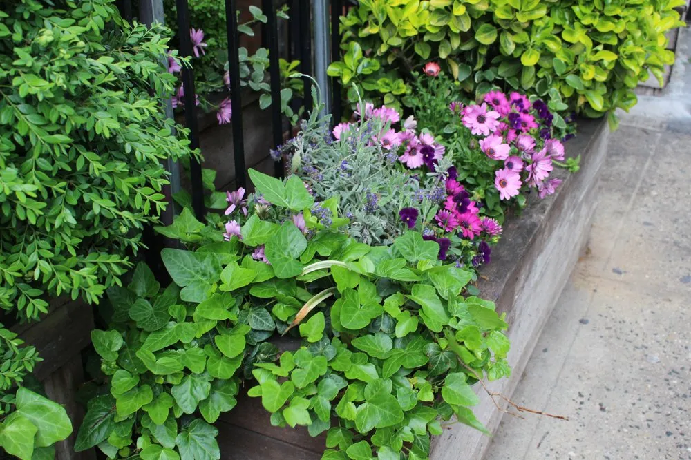 Custom yard cleanup service experts serving New York, NY - MCH Floral Studio