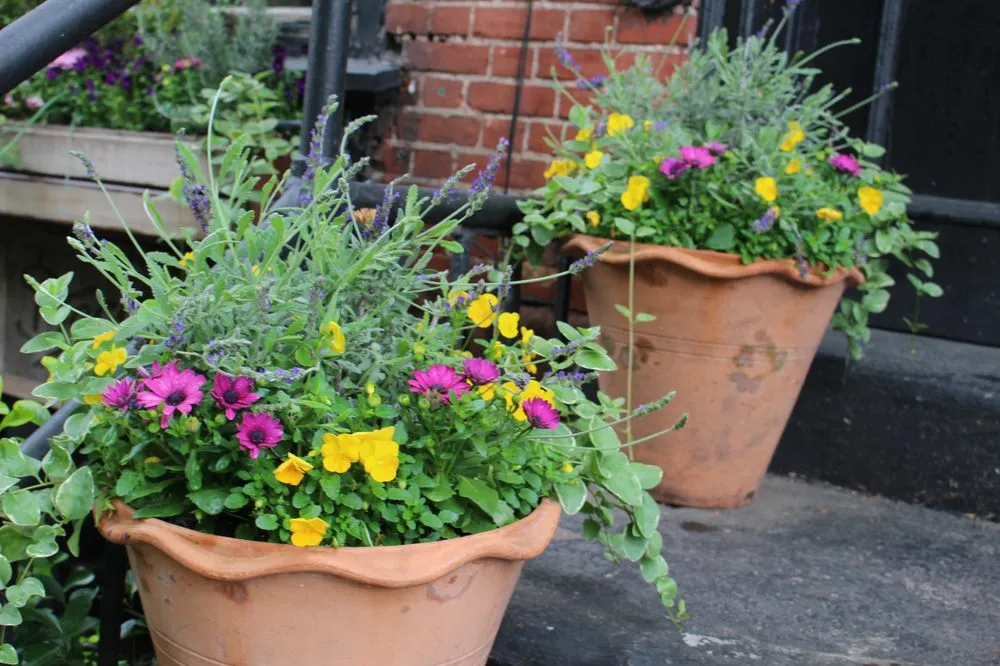 Custom landscape design in New York, NY by MCH Floral Studio