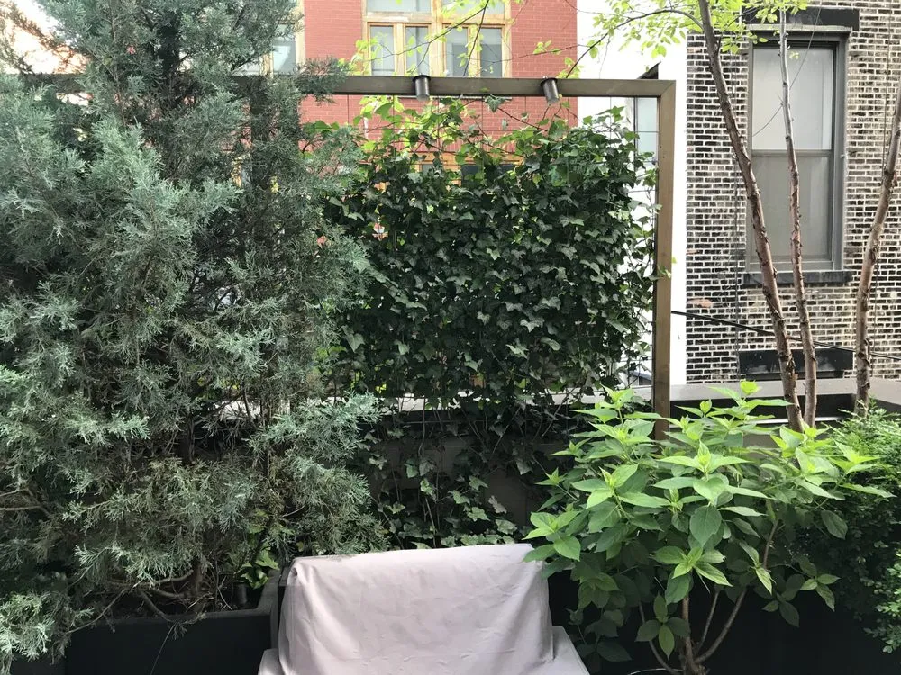 Affordable landscape installation for homes across New York, NY - MCH Floral Studio