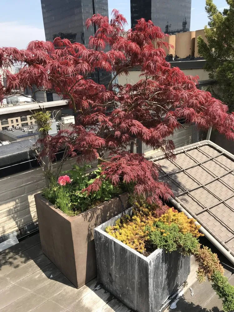 Top-rated garden landscaping experts serving New York, NY - MCH Floral Studio