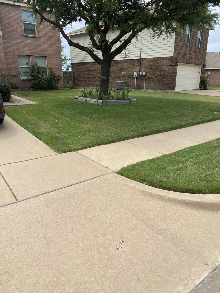 Affordable residential landscaping for homes in Fort Worth, TX by McHanni