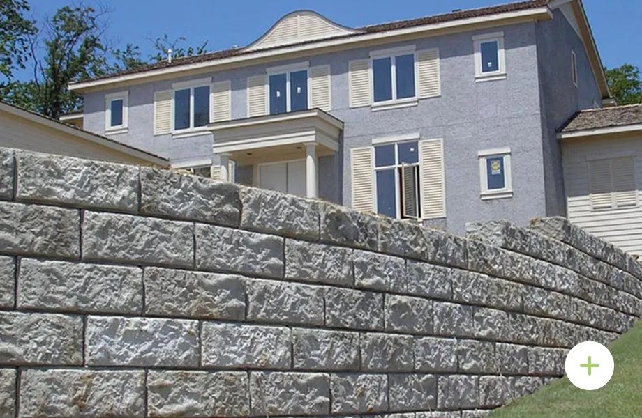 Top-rated yard maintenance in Fort Worth, TX by McHanni