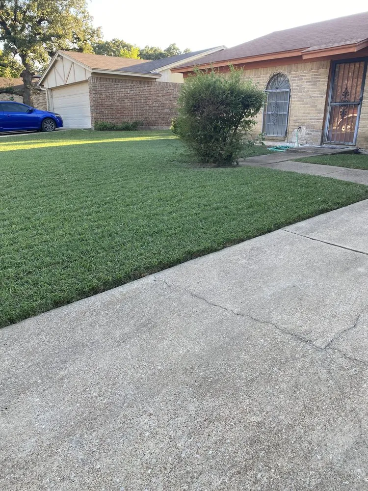 Expert landscape design for year-round maintenance in Fort Worth, TX by McHanni