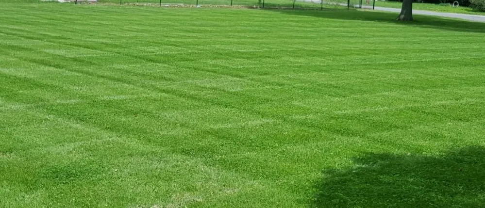 Expert outdoor landscaping in Collinsville, IL - McHenry Lawn Care