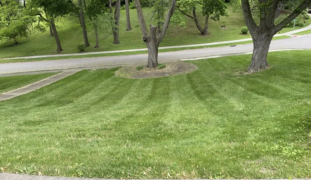 Expert residential landscaping near you across Rock Island, IL - McHugh's Snow Removal