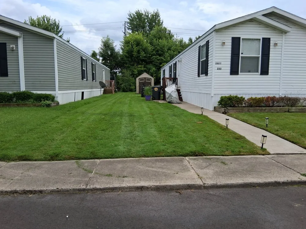 Trusted yard cleanup service in Taylor, MI by Mcintee Lawn Maintenance