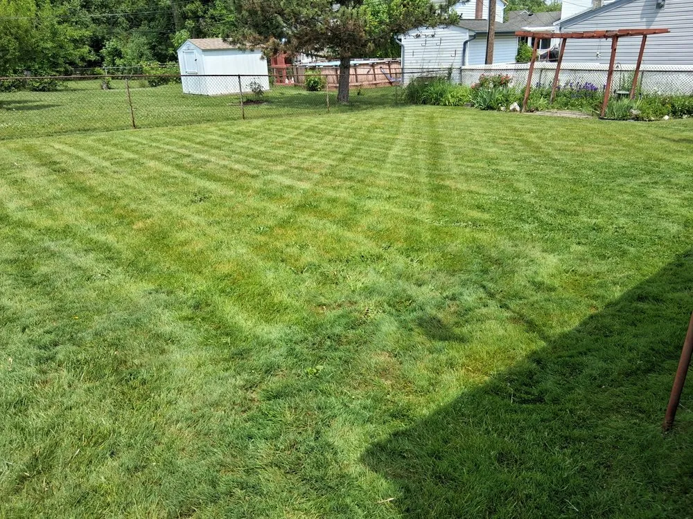 Custom yard maintenance in Taylor, MI - Mcintee Lawn Maintenance