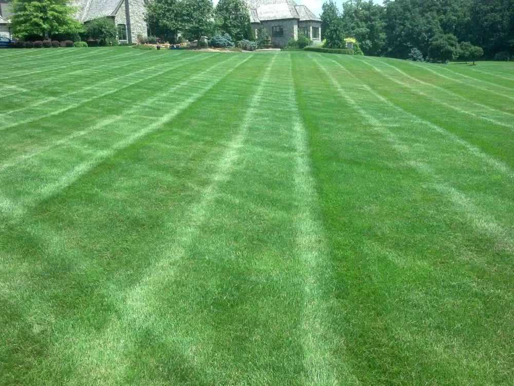Expert yard maintenance in Milan, MI - McIntosh Grounds Maintenance