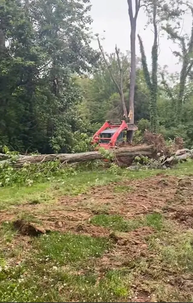 Custom yard cleanup service experts serving Richmond, KY - McIntosh Landscaping