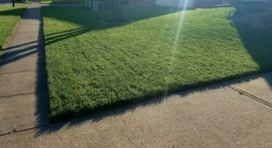 Top-rated lawn care service in Crittenden, KY by McIntosh Lawn and Leaf