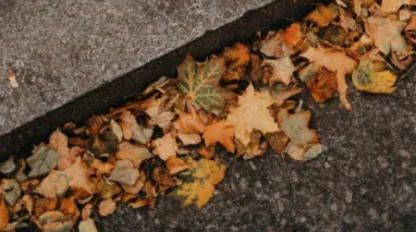 McIntosh Lawn and Leaf