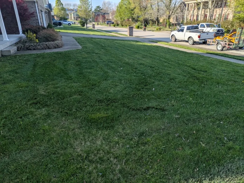 Expert lawn care service for year-round maintenance across Berea, KY - McIntosh Lawn Care