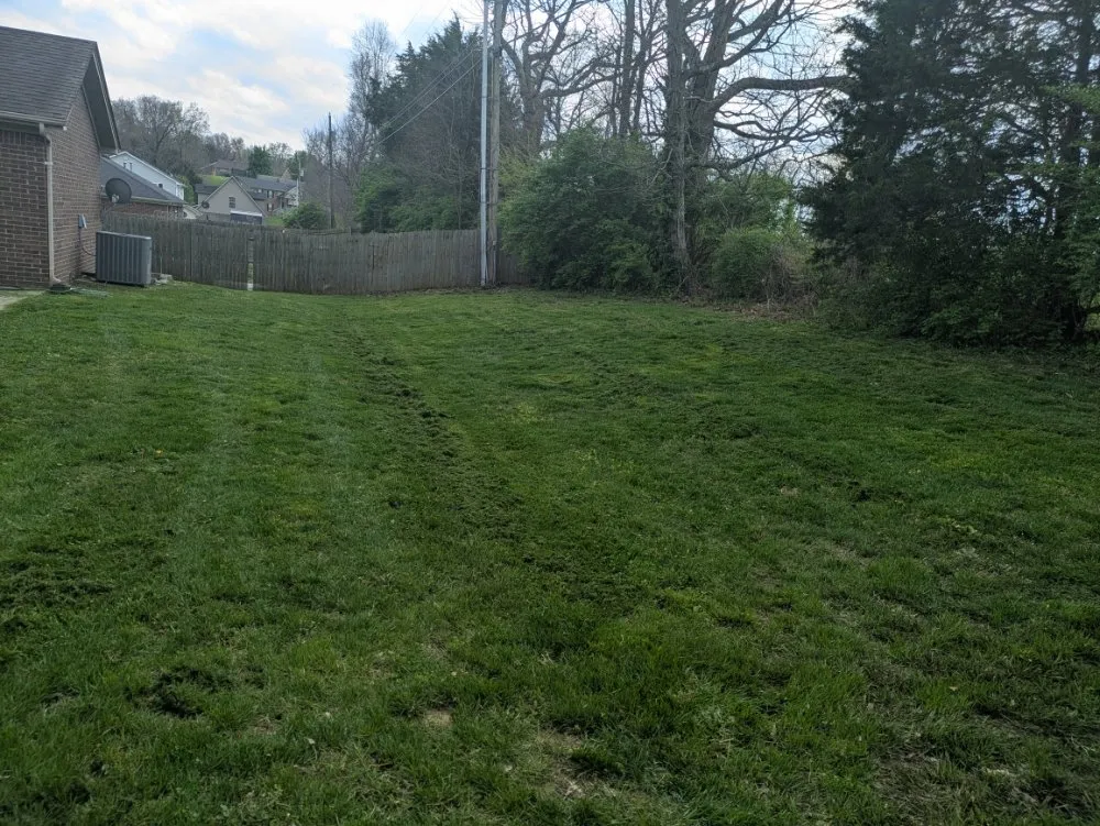 Custom yard maintenance experts serving Berea, KY - McIntosh Lawn Care