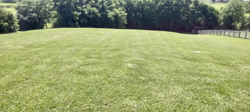 Top-rated landscape installation for outdoor upgrades in Berea, KY by McIntosh Lawn Care