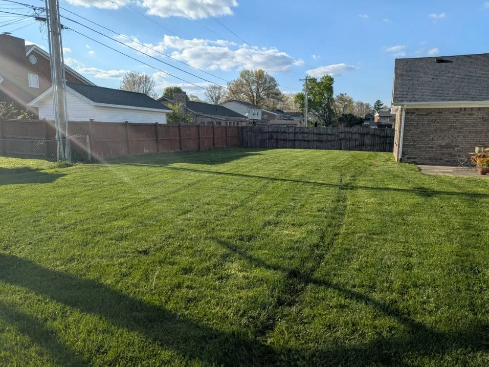 Custom yard cleanup service in Berea, KY - McIntosh Lawn Care