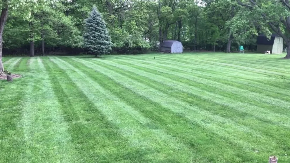 Local yard maintenance for residential properties across Berea, KY - McIntosh Lawn Care
