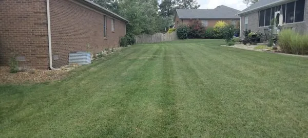 McIntosh Lawn Care Logo