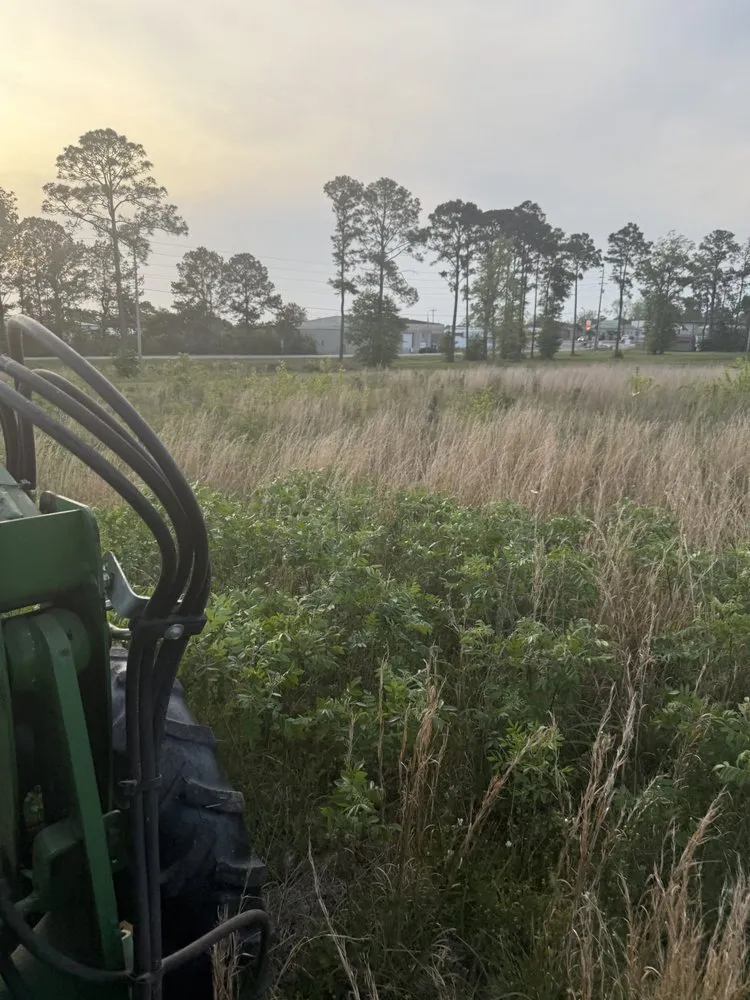 Affordable landscape installation for residential properties across Andalusia, AL - McIntyre Excavating
