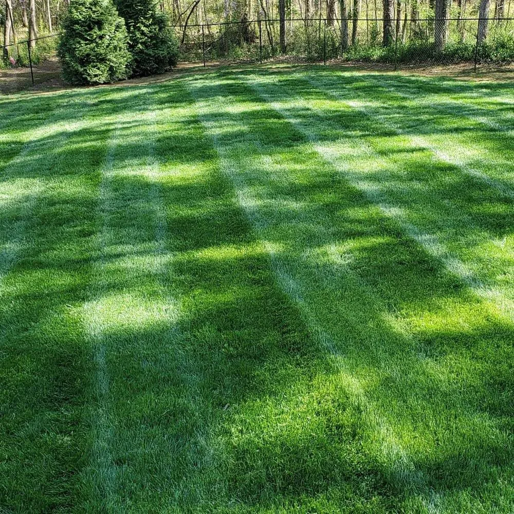 Top-rated landscaping services in Stoneham, MA by McIntyre Mowing