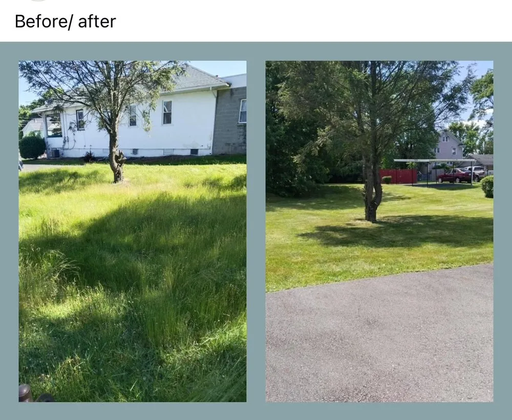 Custom landscape installation near you in Dunmore, PA by MCJ Lawn Care Service