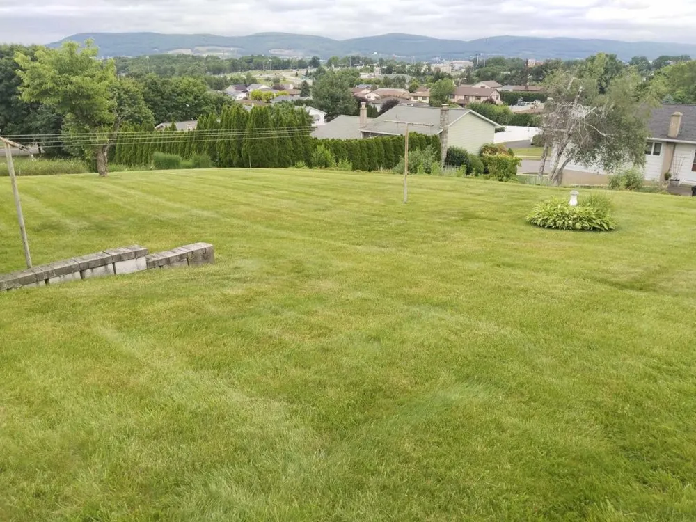 Affordable landscape design in Dunmore, PA by MCJ Lawn Care Service