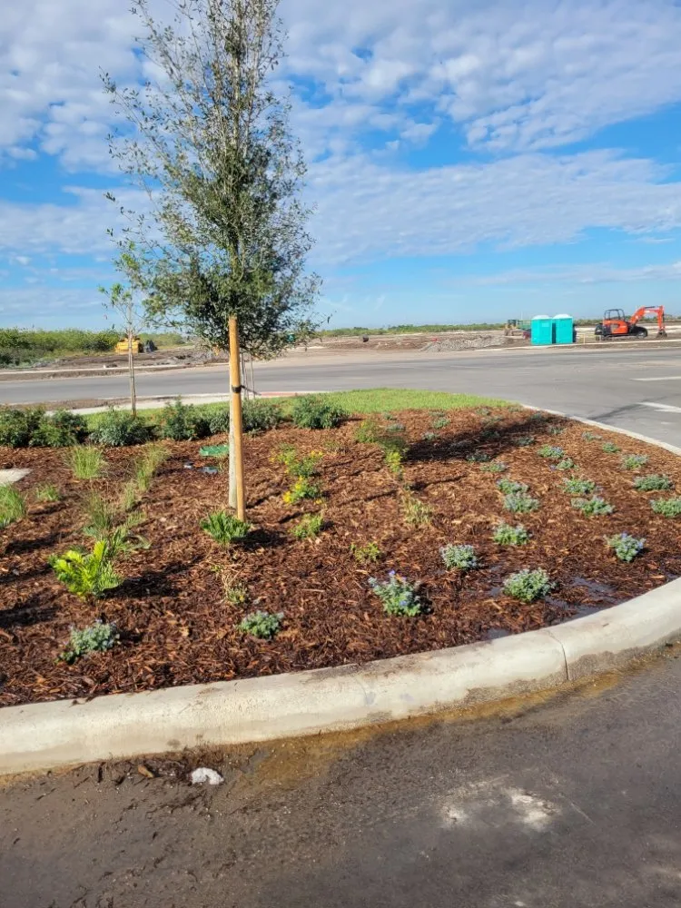 Custom lawn care service for residential properties in Fort Pierce, FL by MCJ Ventures