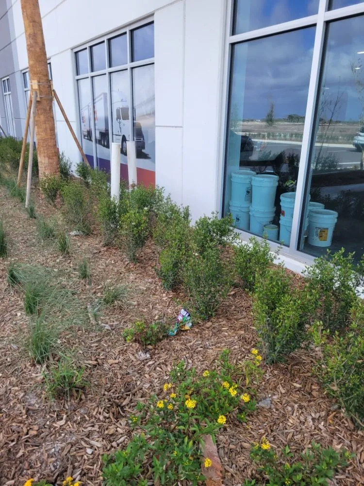 Trusted landscaping services for beautiful yards across Fort Pierce, FL - MCJ Ventures