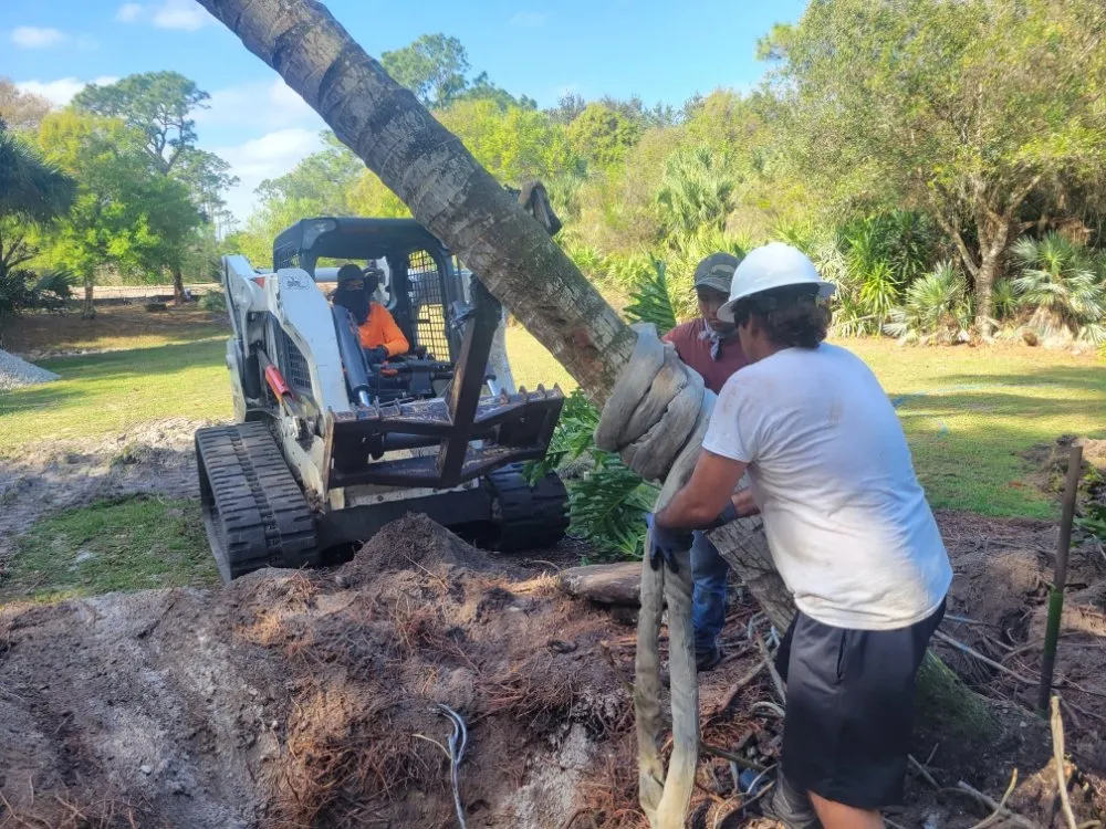 Custom landscaping services in Fort Pierce, FL by MCJ Ventures