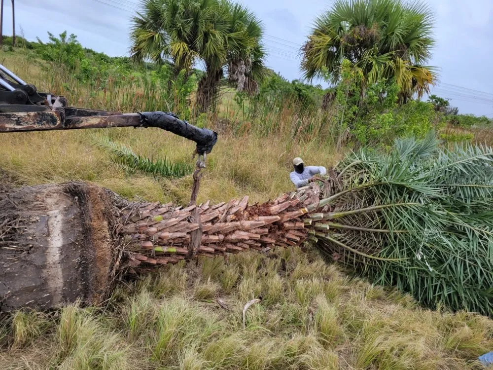 Top-rated lawn care service in Fort Pierce, FL by MCJ Ventures