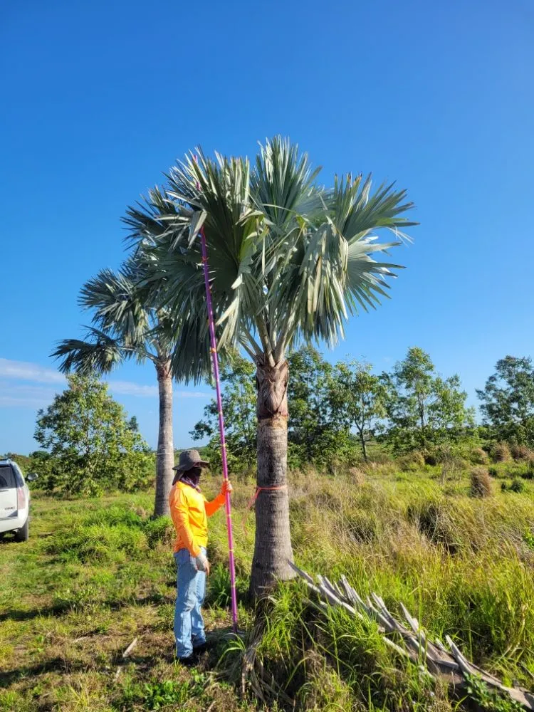 Professional residential landscaping near you in Fort Pierce, FL by MCJ Ventures