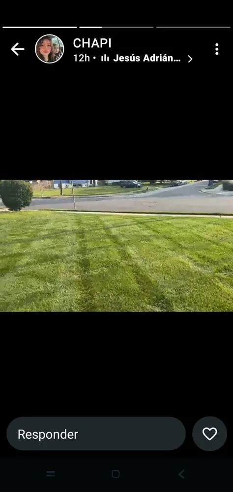 Affordable landscape design in Pimmit, VA by MCK Lawn Service