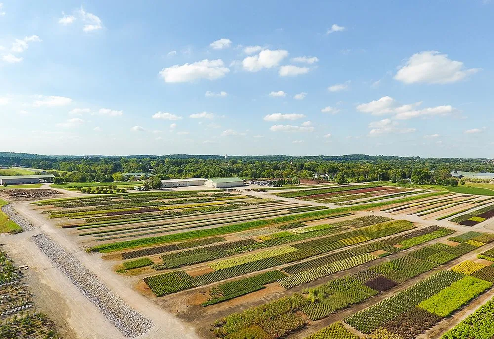 Trusted landscape installation experts serving Waterloo, WI - McKay Nursery