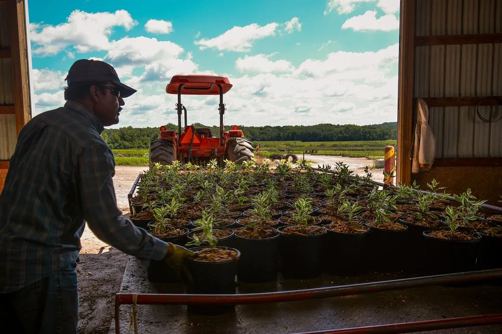 Trusted yard maintenance for outdoor upgrades in Waterloo, WI by McKay Nursery