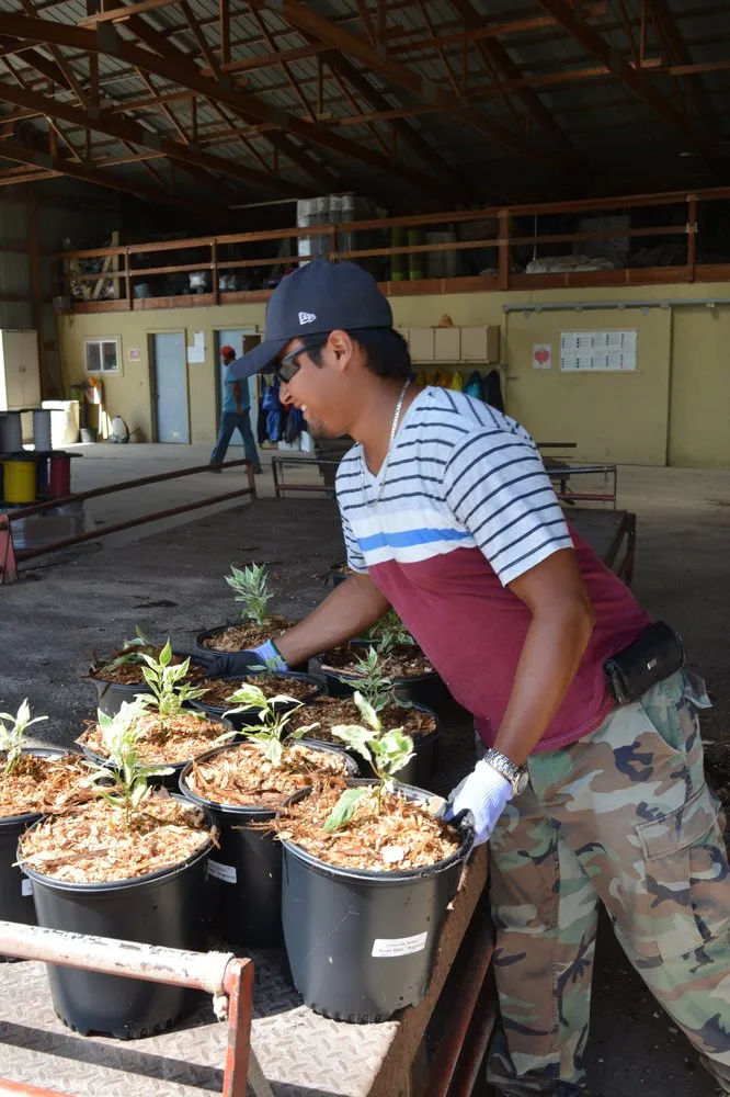 Professional lawn care service in Waterloo, WI - McKay Nursery